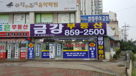 금강부동산