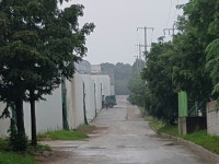 순수계분