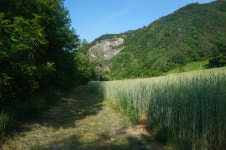 구름사다리펜션