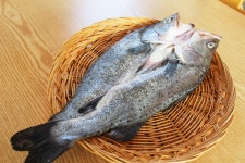 안면도꽃지수산식당