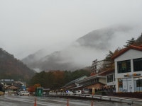 갤러리Haus
