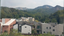 아침공인중개사사무소