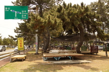 솔밭캠핑장