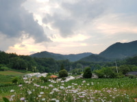 구름사다리펜션