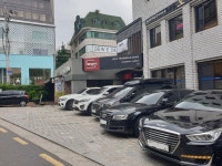 레인지엑스 가로수