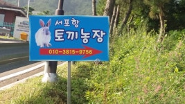 서포항토끼농장