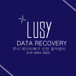 인천 외장하드복구 데이터복구 컴퓨터수리센터 LUSY