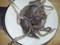서해박속낙지 광명본점