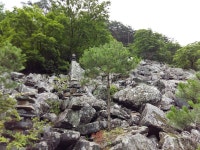 산장펜션