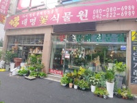 대명꽃식물원