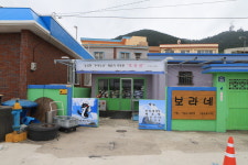 보라네