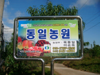 동일농원