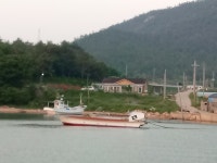 암태민박