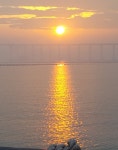 암태민박