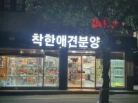 착한애견분양 원주점