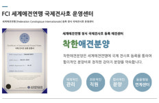 착한애견분양 원주점