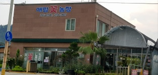 삼례애림꽃농장