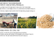 가촌참기름상회