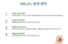 착한애견분양 원주점