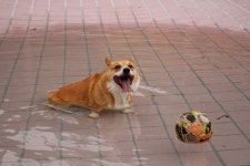 한별리멤버파크