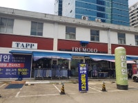 트레몰로