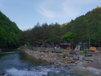 도원패밀리캠핑장