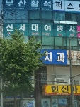 신세대관광여행사