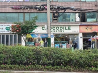 여성크로커다일 금촌점