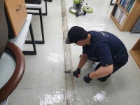 그린크린환경