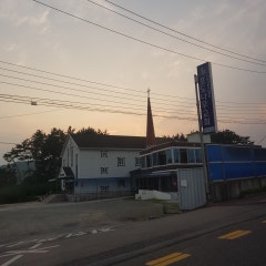 포도나무교회