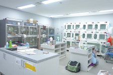 충남대학교 동물병원