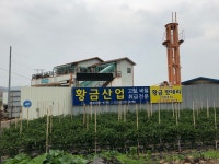 황금산업