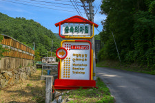 숲속의아침
