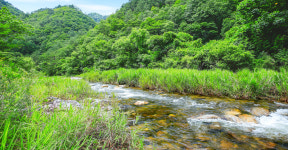 산나물농장펜션