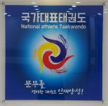 국가대표 태권도