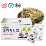 토토건강원 | 토토원