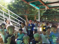 용인대태풍태권도