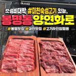 양연화로 봉명점