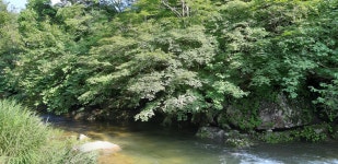 구들하우스 펜션