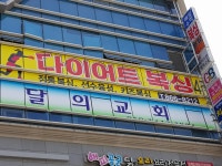 대한권투체육관 세종관