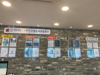 스윔슐레 구미캠퍼스
