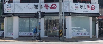 헬로독