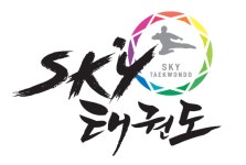 스카이태권도
