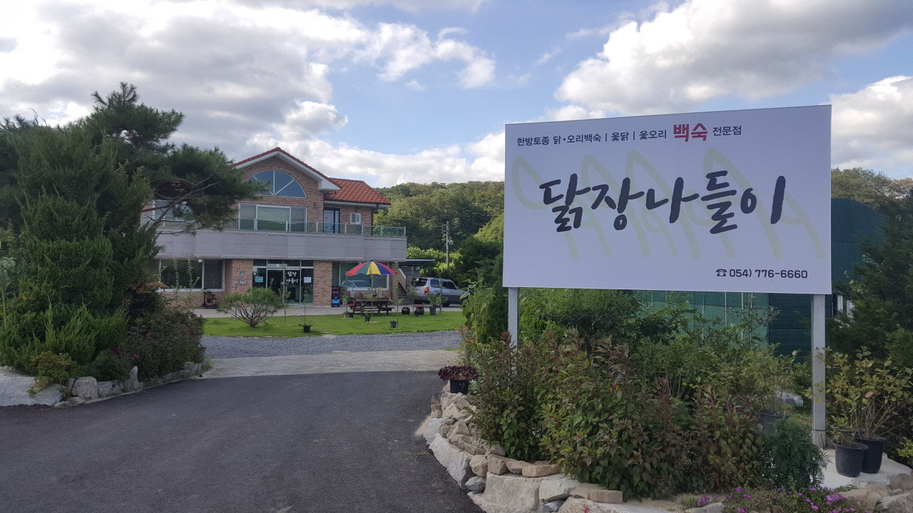 닭장나들이