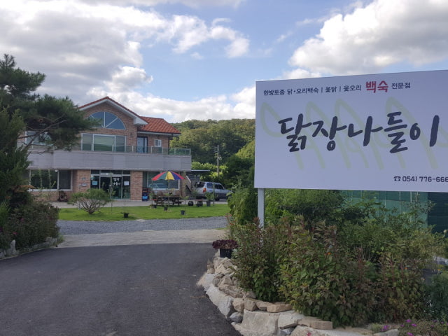 닭장나들이
