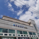 남선전기