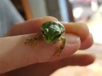 별빛 생태 농원