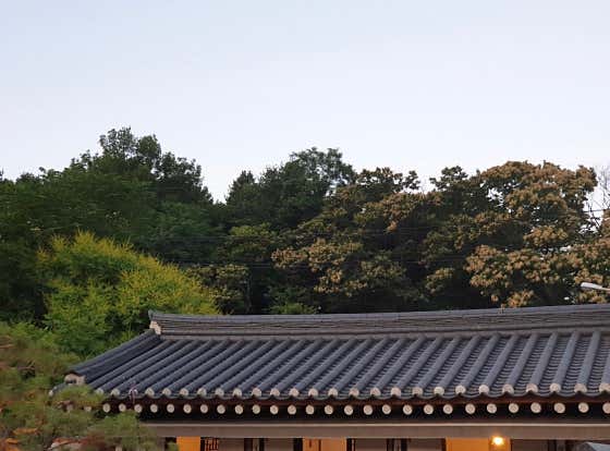 고당 사진