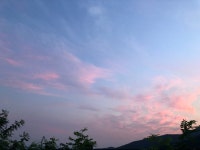 단구예술농장