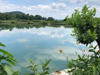 단구예술농장
